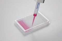 Microplate96/F-PP clear/white PCR 80pl.