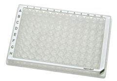 Microplate96/V-PP clear/white ster.80pl