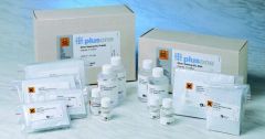 SILVER STAINING KIT, PROTEIN